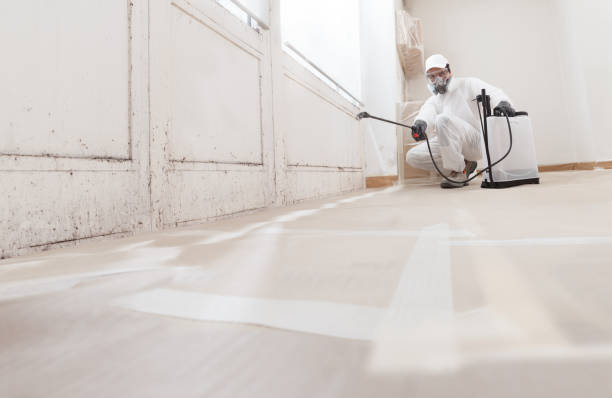 24/7 Emergency Mold Testing experts in Bellevue, WA